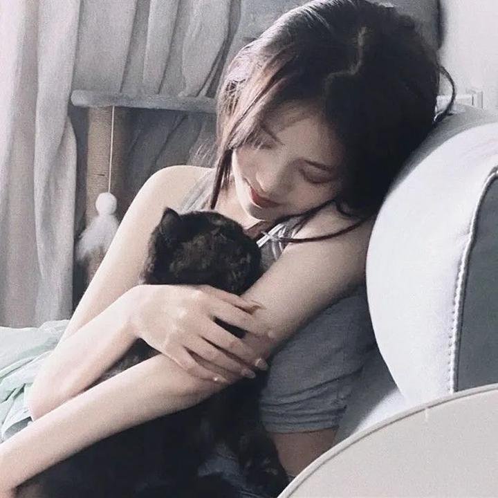 恋爱研究所